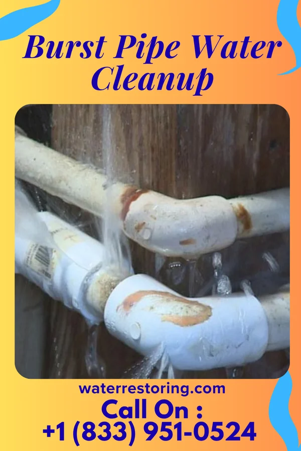 Burst Pipe Water Cleanup in Allenhurst, GA