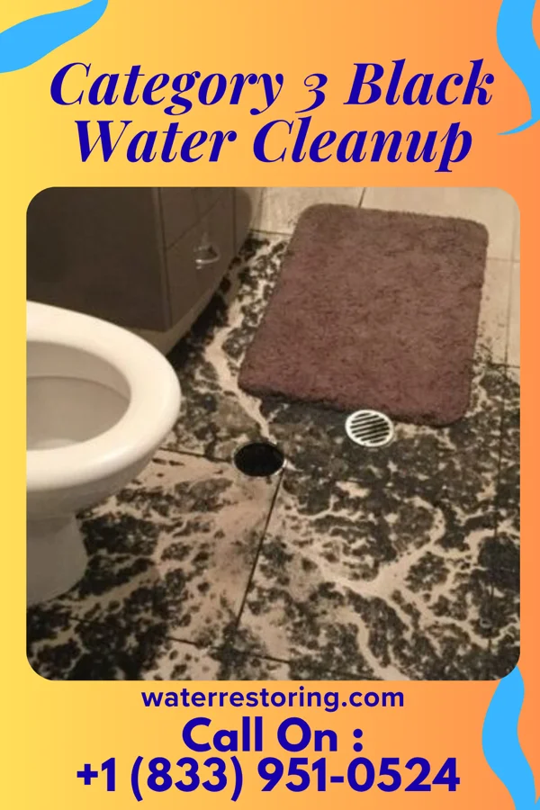 Category 3 Black Water Cleanup in Allenhurst, GA