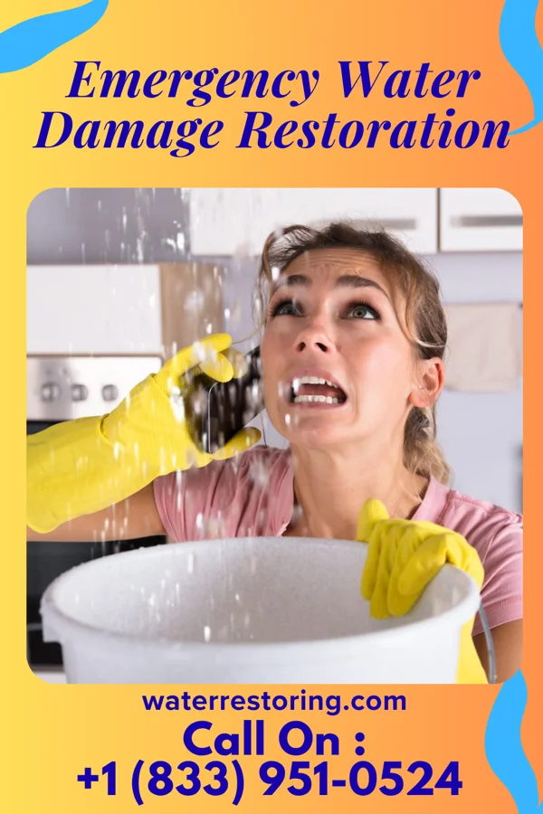 Emergency Water Damage Restoration in Allenhurst, GA