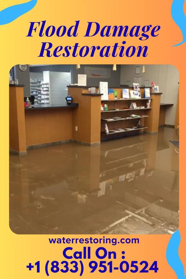 Flood Damage Restoration in Allenhurst, GA